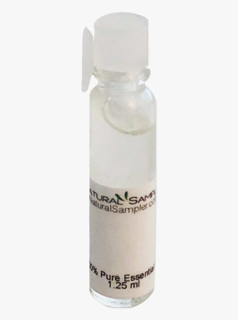 Eucalyptus - Glass Bottle, transparent png download