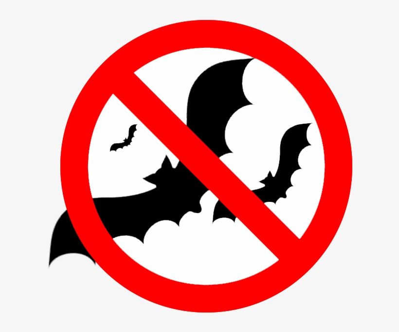 Call Us For A Free Estimate 905 960 - No Eating Sign Bilingual, transparent png download