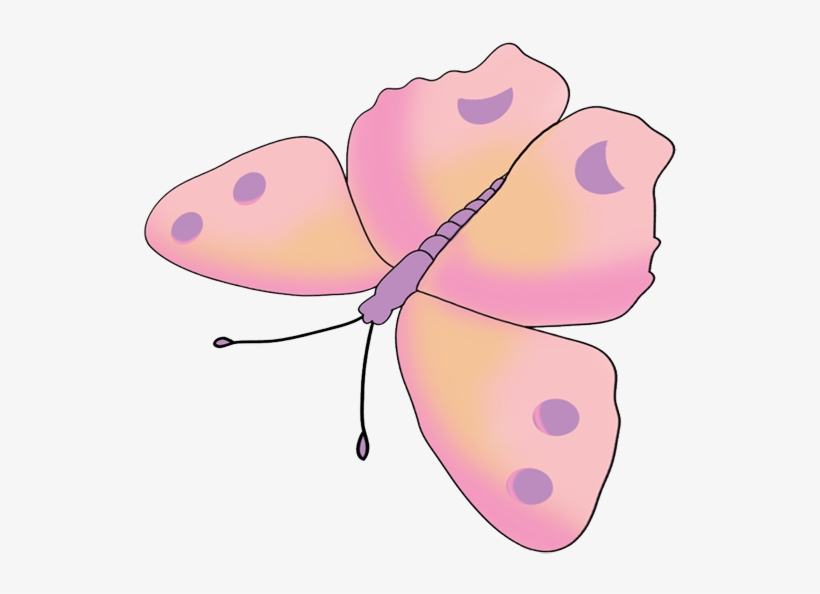 Black Red And Orange Butterfly, transparent png download