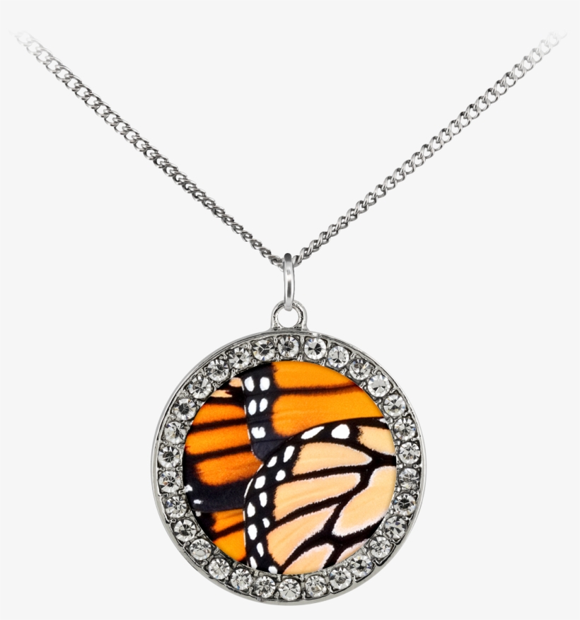 Monarch Butterfly Wings Stone Coin Necklace - Necklace, transparent png download