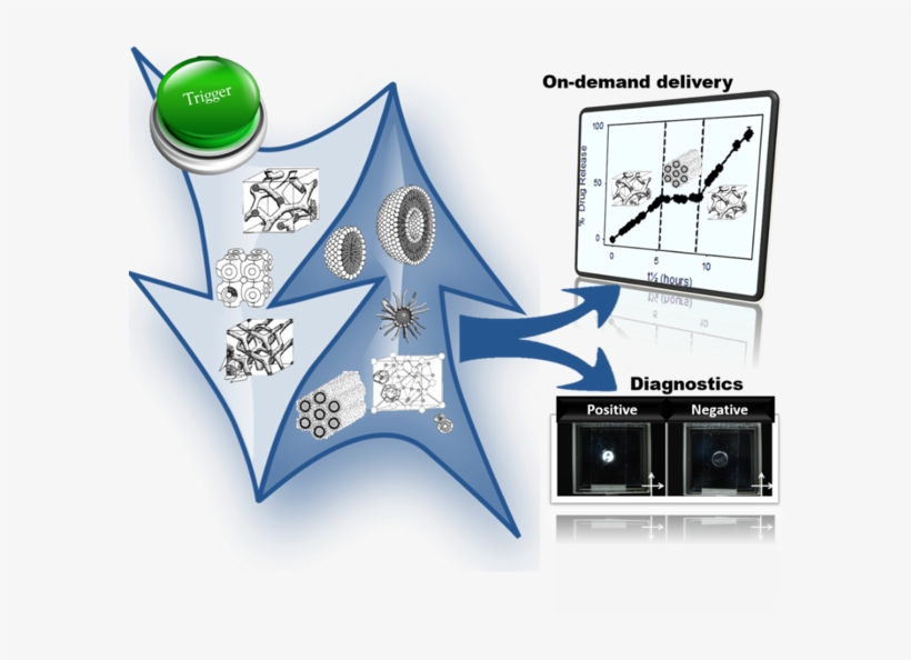 Ensure That Therapeutics Are Delivered To The Site - Diagram, transparent png download