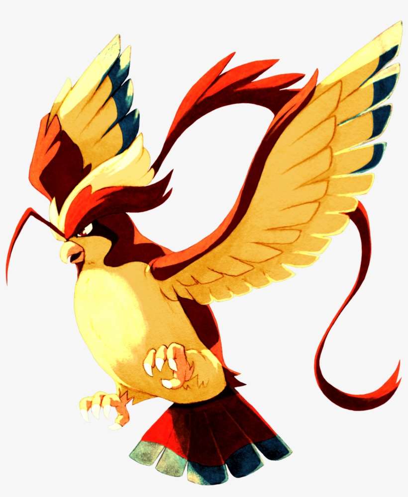 Drew Mega Pidgeot In My Sketchbook Earlier Then Colored - Pidgeot, transparent png download