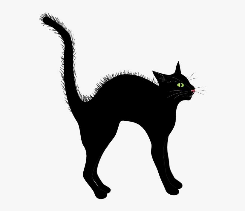 Free Clip-art, Black Cat - Black Cat, transparent png download