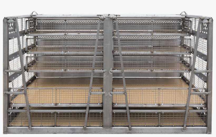 Watch Video - Cage, transparent png download