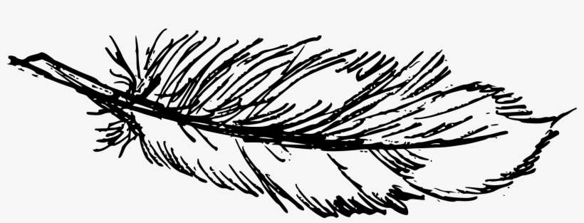 Free Download, transparent png download