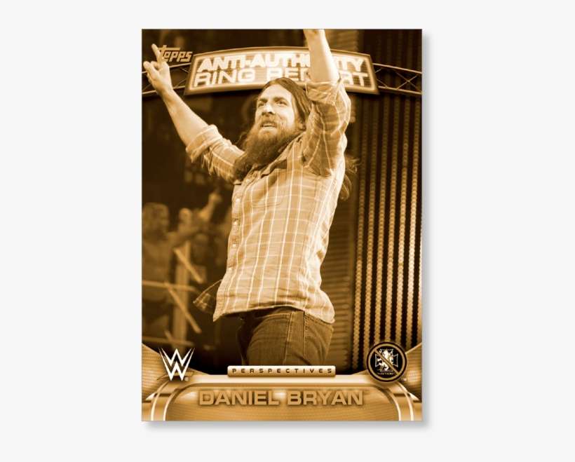 2016 Topps Wwe Daniel Bryan - Picture Frame, transparent png download