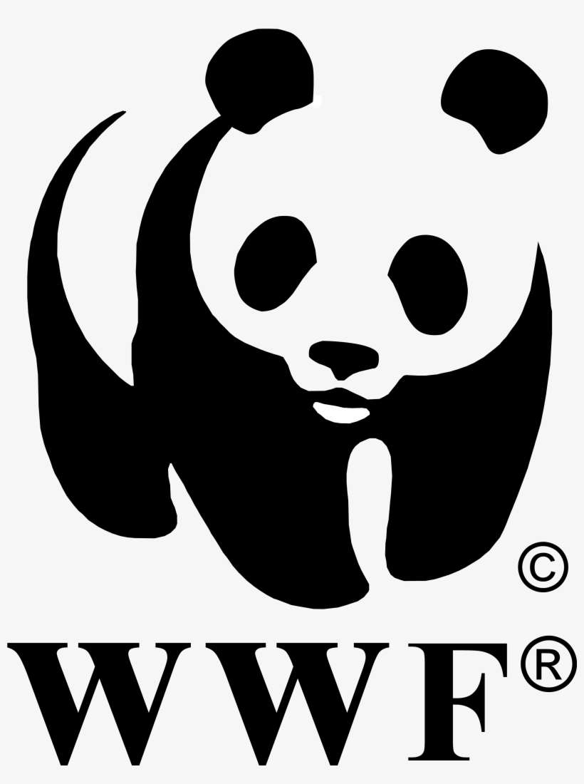 Wwf Final - World Wildlife Foundation Logo, transparent png download