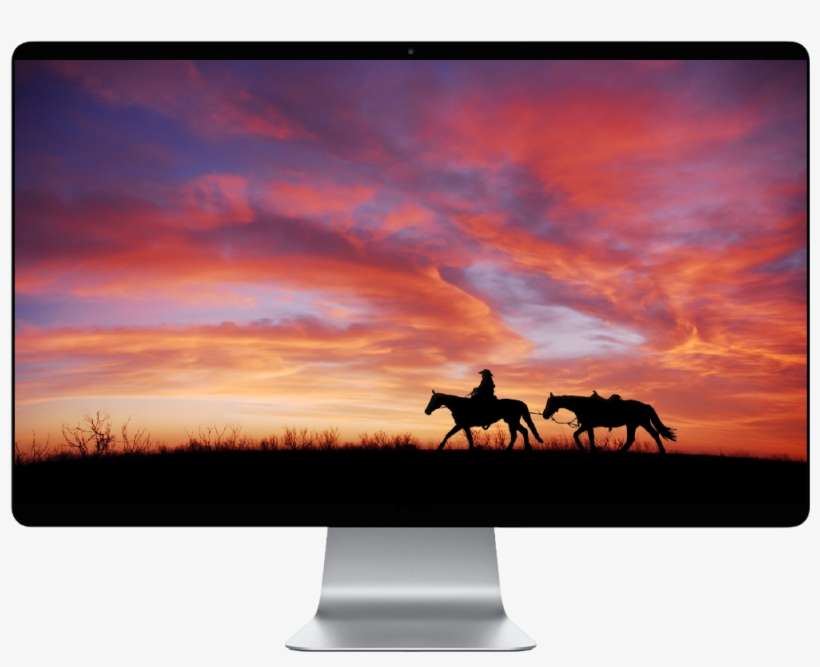 Score 50% - Horses In The Sunset, transparent png download
