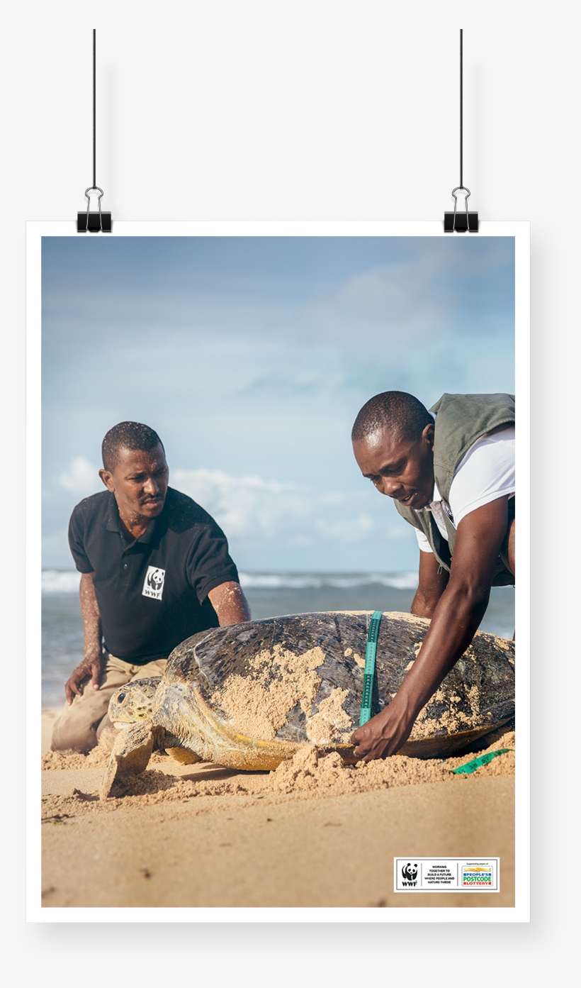 Contact Us - Sand, transparent png download