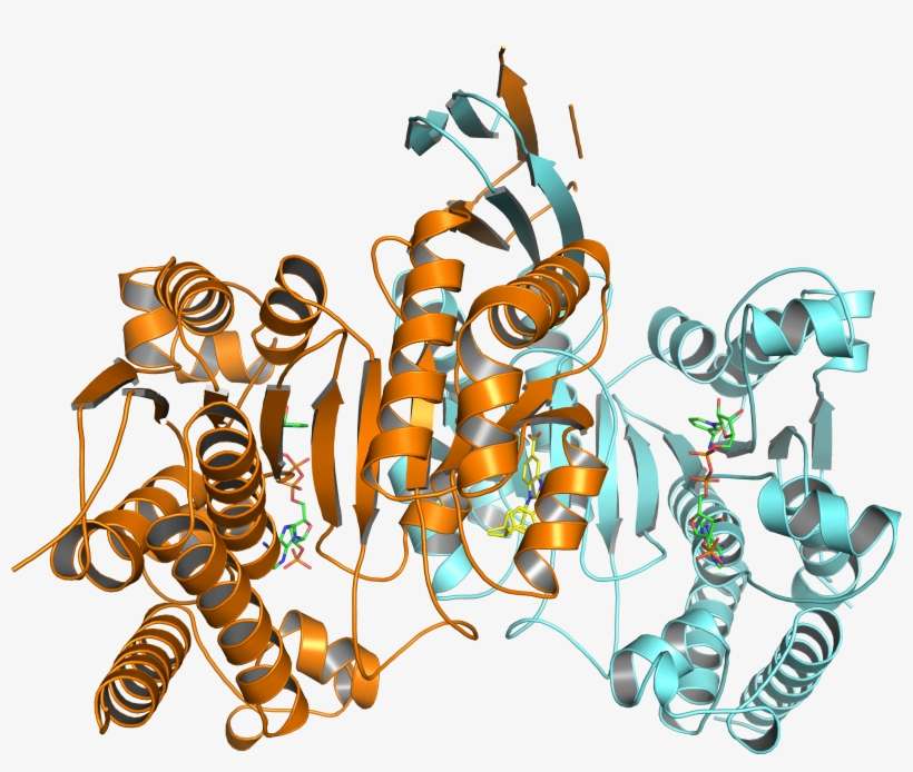 Caveman Clipart Jacked - Chemistry, transparent png download