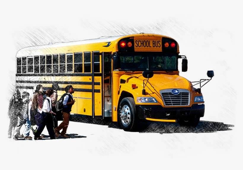 Blue Bird, transparent png download