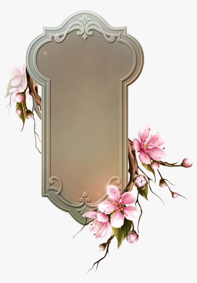 Cherry Blossom, transparent png download