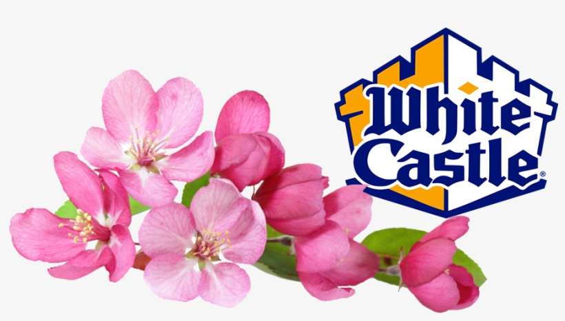 White Castle, The Oldest Fast Food Company In The United - White Castle, transparent png download