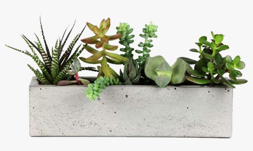 Concrete Planter - Window Sill Succulent Planter, transparent png download