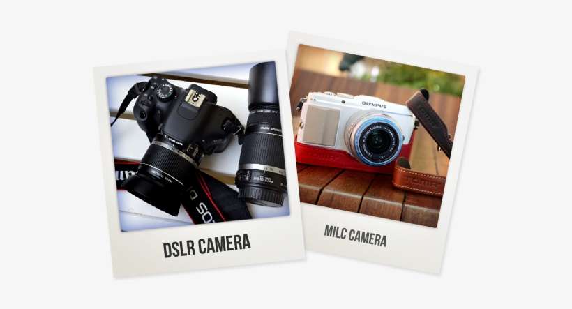 It Is Also Very Important To Know That You Cannot Interchange - Asdf Movie, transparent png download