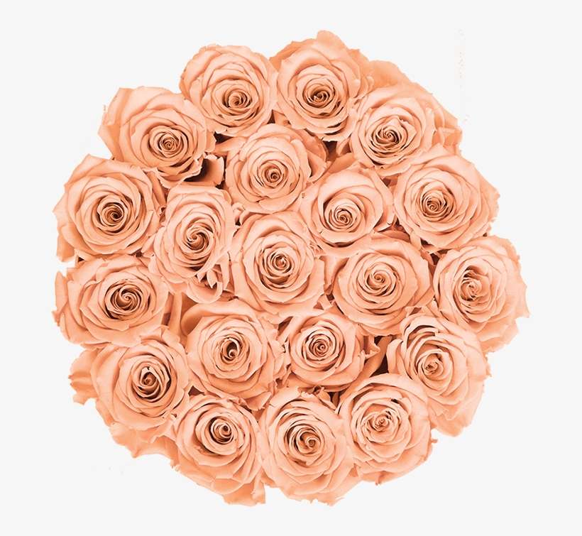 Prev - Roses In A Box - Bella's Flower Shop, transparent png download