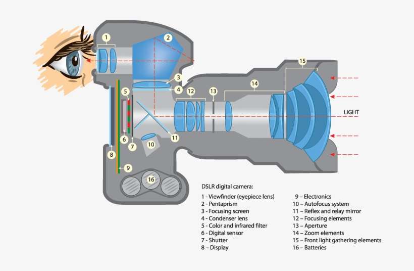 Dslr Camera Parts - Working Of A Camera, transparent png download