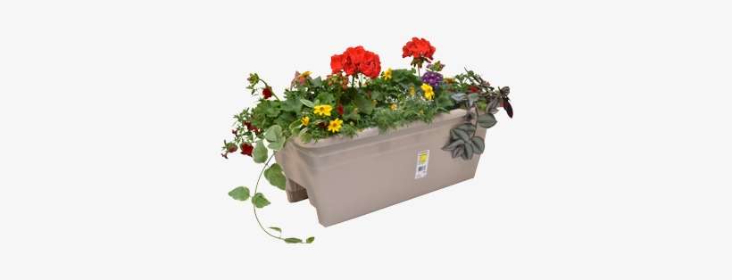 Flowerpot, transparent png download