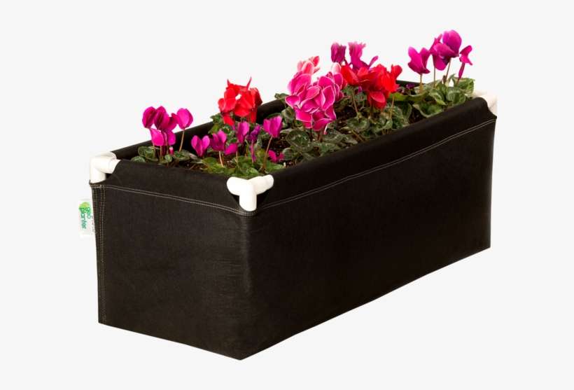 Tray, transparent png download