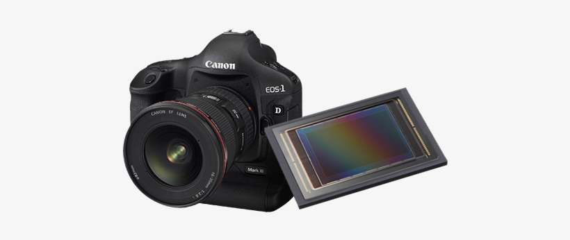 Canon, With Its Unmistakable Advantage In Cmos Image - Canon Eos 1d Mark Iii 10.0 Mp Digital Slr Camera -, transparent png download
