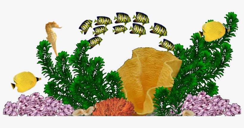 Reeflife09 800 X - Illustration, transparent png download