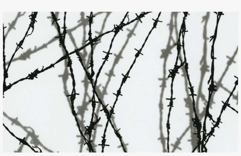 Shadow Barbed Wire Ll-209 - Barb Wire, transparent png download