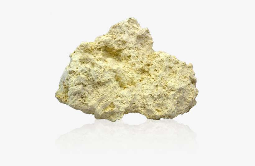 Coral Concepts - Coral Reef Rocks Png, transparent png download