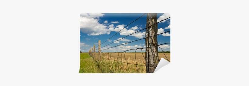 Barbed Wire Fence In Kansas Pasture Field Wall Mural - Barbed Wire Fence, Kansas P Aluminum License Plate, transparent png download