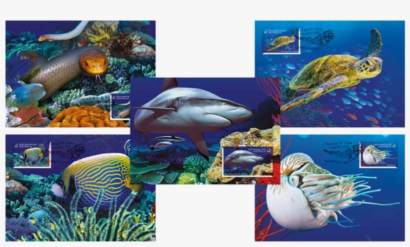 Set Of Stamps - Marine Biology, transparent png download
