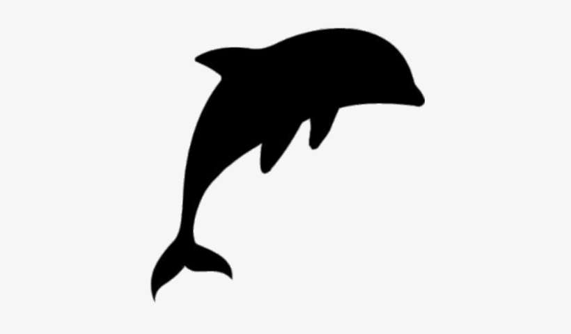 Dolphin - Silhouette Of Dolphin, transparent png download