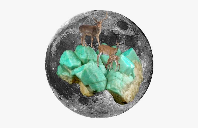 Virgo Is An Earth Sign And Today's Full Moon Is Full - Full Moon, transparent png download