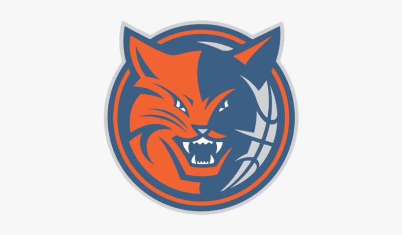 Charlotte Bobcats Logo Png, transparent png download
