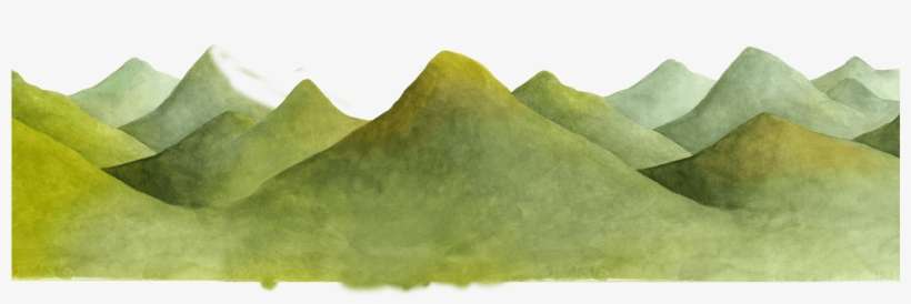 Pl / En - American Holly, transparent png download