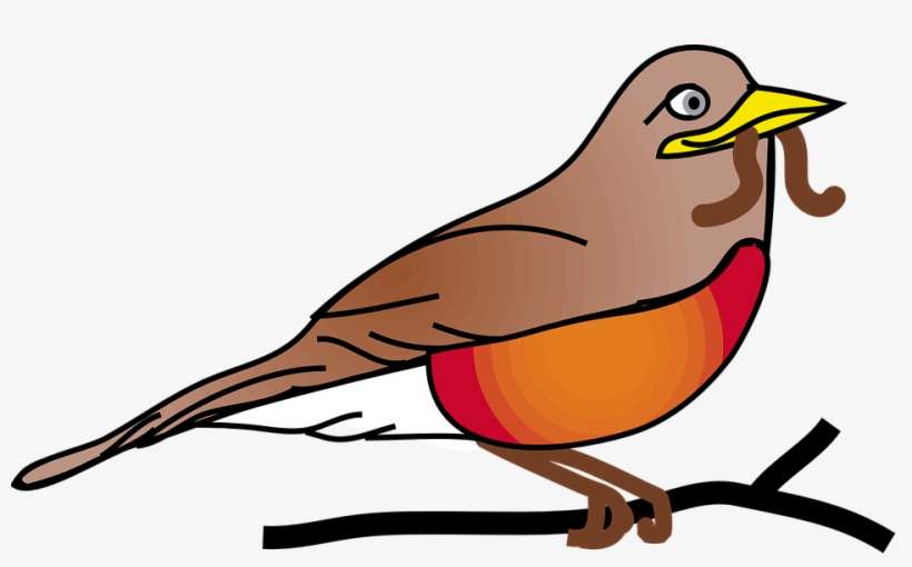 Red Robin Bird Animal - Robin Clipart Free, transparent png download
