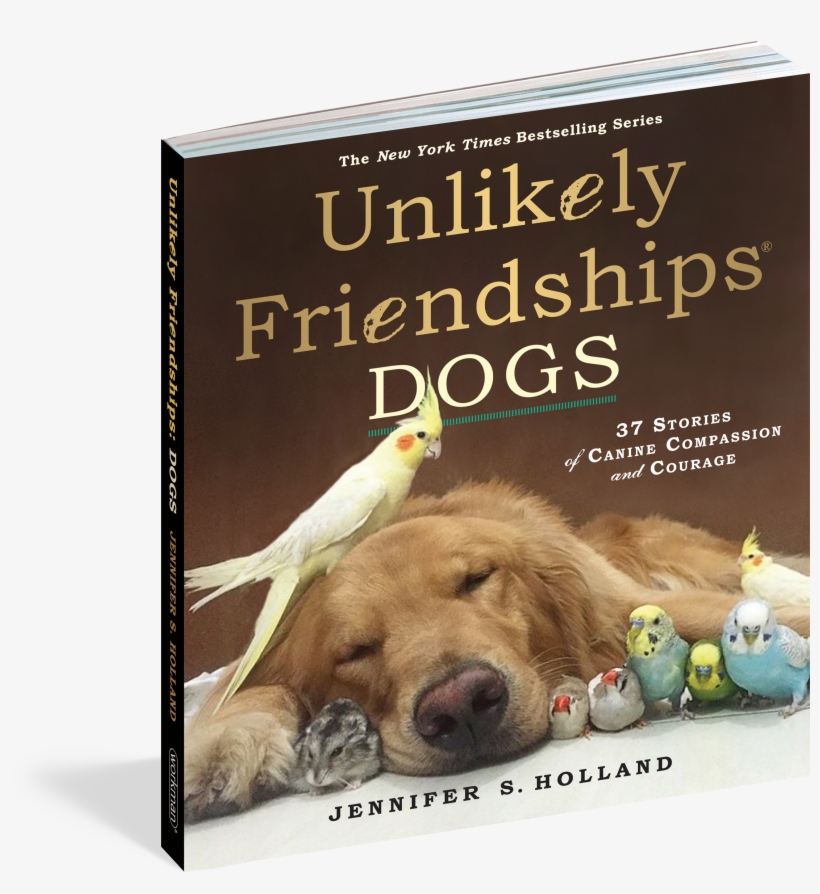 Unlikely Friendships Jennifer Holland, transparent png download