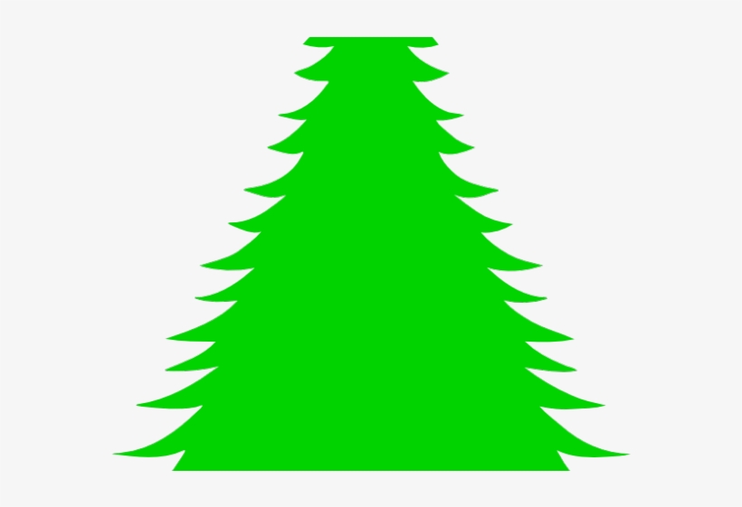Drawn Fir Tree Green Christmas Tree - Christmas Tree, transparent png download