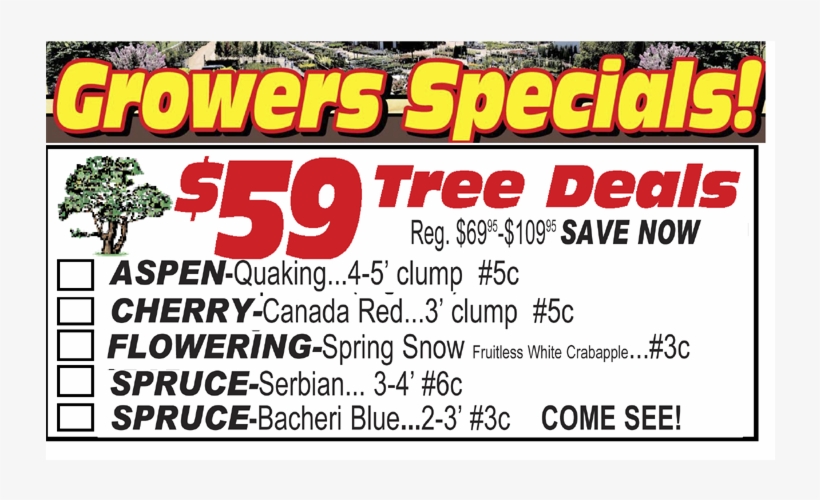 Over 210 Of The Latest Printable Coupons And Deals - Steps ...