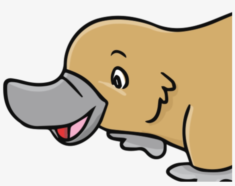 Doggie Photo Shoot, transparent png download