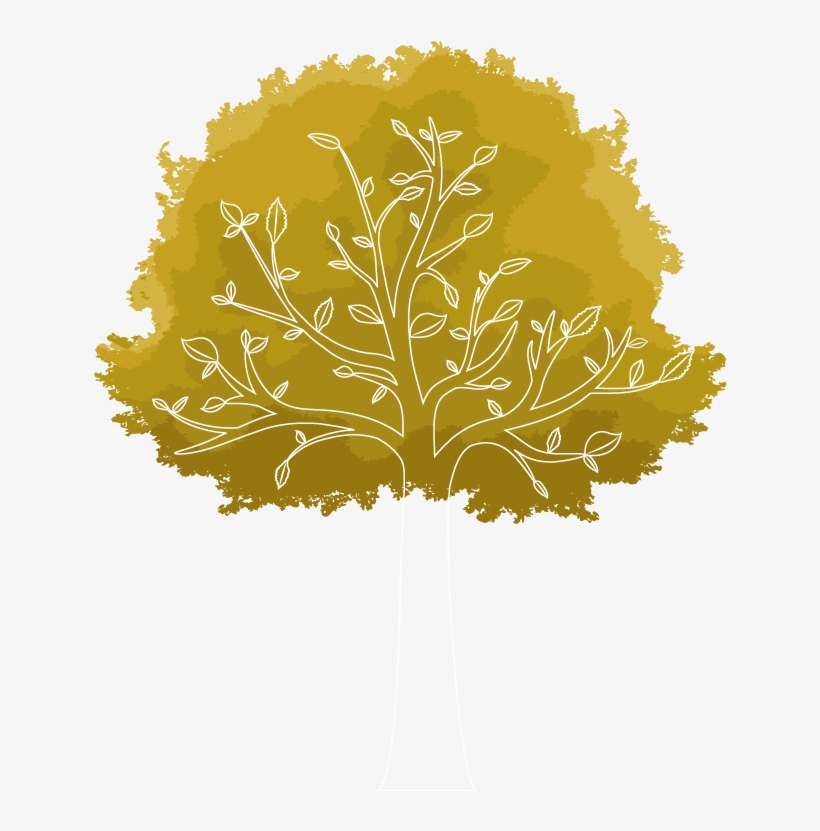 Arbol Fondo Png - Plane-tree Family, transparent png download
