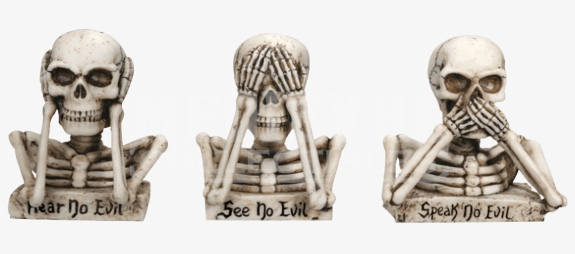 Skull, transparent png download