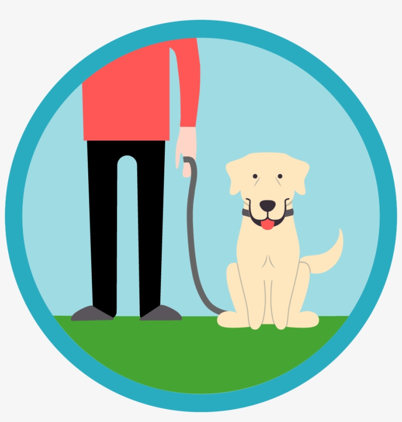 Dog Walking - Dog Yawns, transparent png download