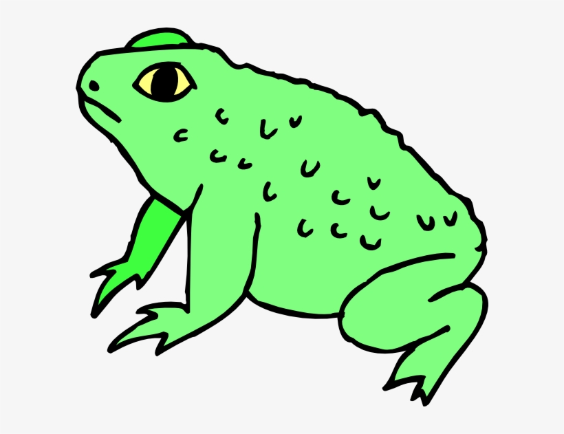 Original Png Clip Art File Warty Frog Svg Images Downloading Png Image Transparent Png Free Download On Seekpng