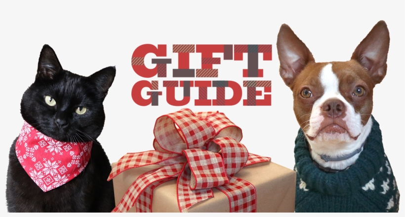 10% Off All Bowsers Beds And Mats For Dogs And Cats - Boston Terrier, transparent png download