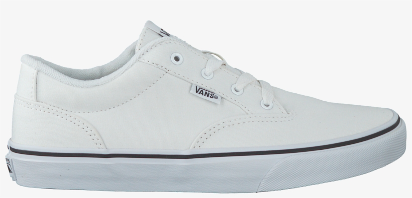 White Vans Lace Ups Winston Kids Png Kid White Vans - Skate Shoe, transparent png download
