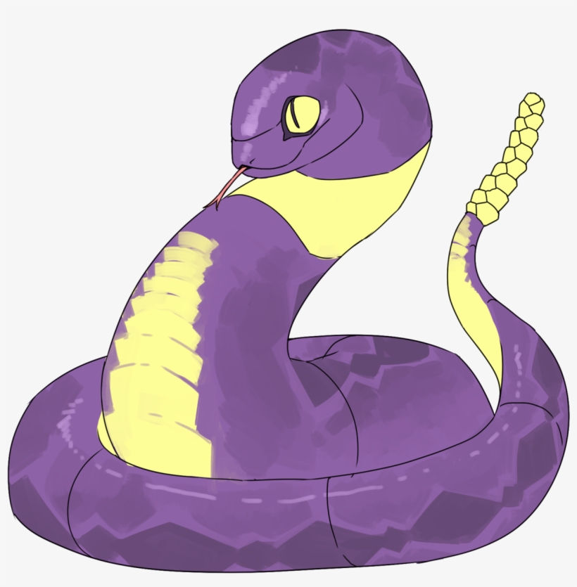 The Bottom Five Are Intended For Me Friend And Her - Duck, transparent png download