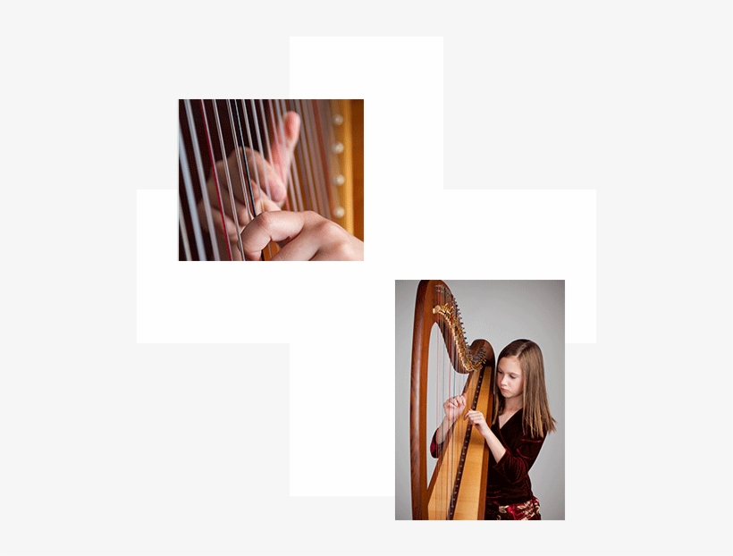 Guitarist, transparent png download