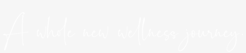 Buying A Wholesale Starter/enrolment Kit Is The Most - Png Format Twitter Logo White, transparent png download