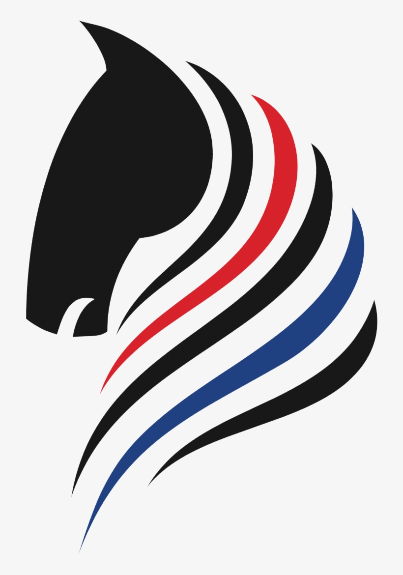 Re/max Hallmark Realty Ltd - Graphic Design, transparent png download