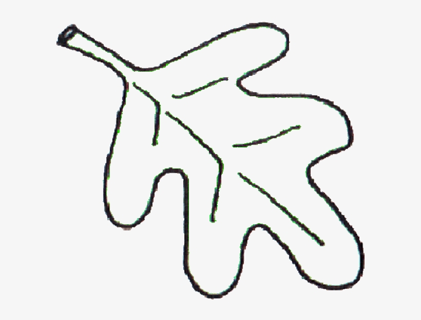 Png Free Download Template Go Back Gallery For Leaves - Oak Leaf Clip Art Black And White, transparent png download