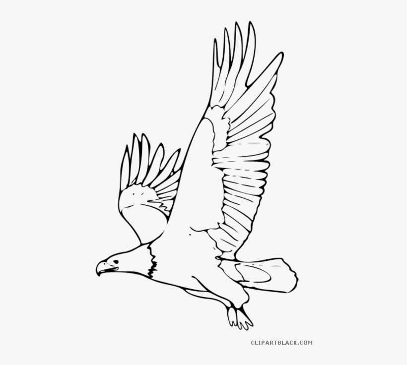 Image Stock Eagle Clipart Black And White - Clip Art Black And White Eagle, transparent png download